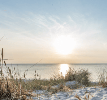 Bildschirmfoto 2023-08-16 um 16.48.20